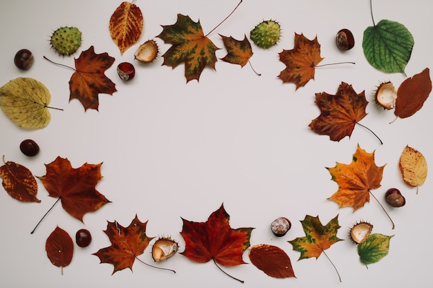 Autumn background and frame with dried leaves