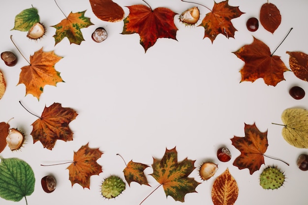 Autumn background and frame with dried leaves