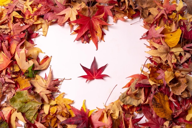 Autumn background heart with autumn colored leaves isolated on white background with one red leaf