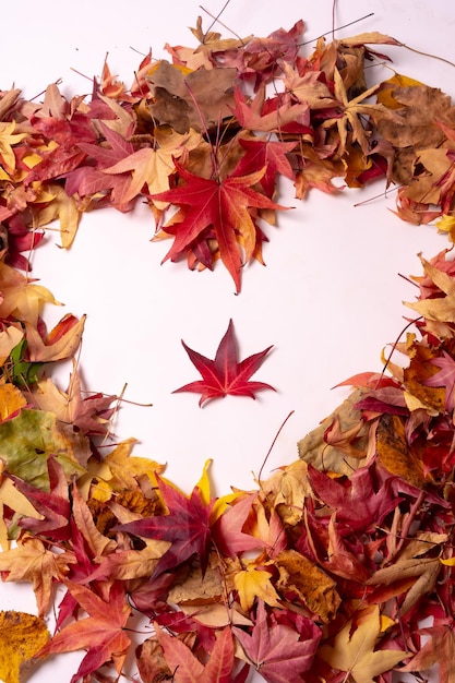 Autumn background heart with colored leaves isolated on white background