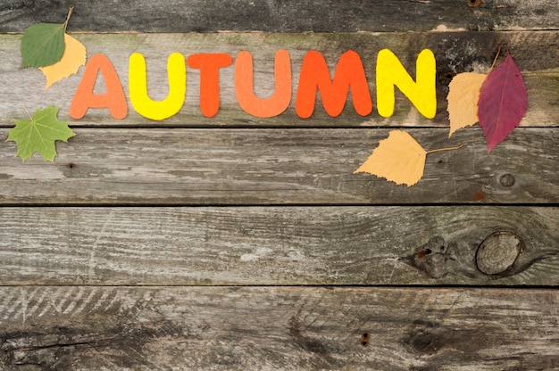 Autumn background on old wooden background. Handmade word Autumn made of felt. Autumn leaves