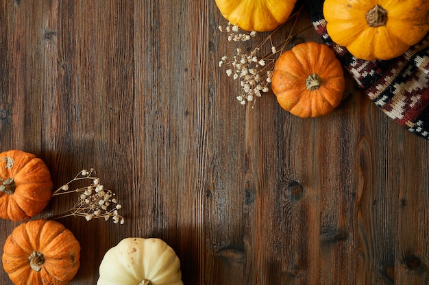 Autumn background of pumpkins on a wooden table