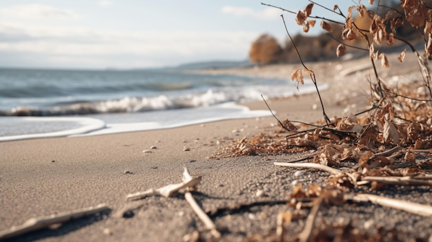 autumn background realistic photo 4K HD