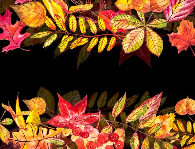 Autumn  background. Seasonal illustrations..watercolor illustration.