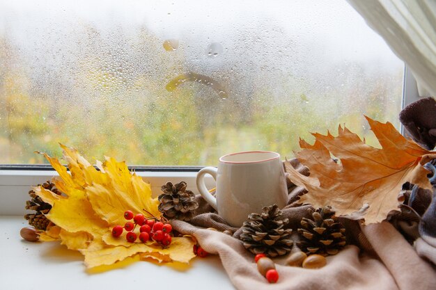 Autumn background, tea mug on the window in autumn, autumn leaves