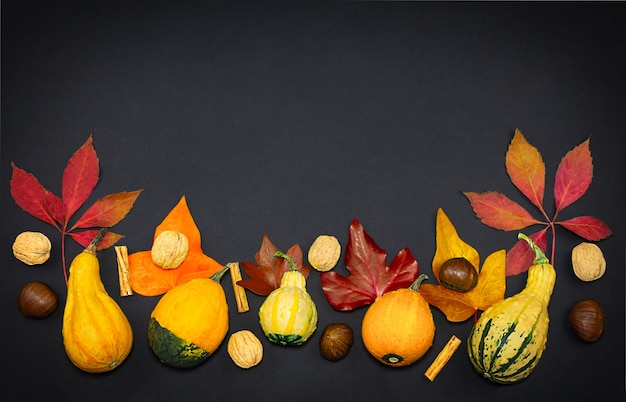 Autumn background top view Concept of fall harvest Thanksgiving Day