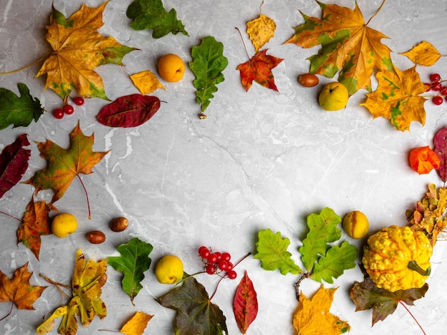 Autumn background with colored leaves red viburnum acorn decorative pumpkin with copy space