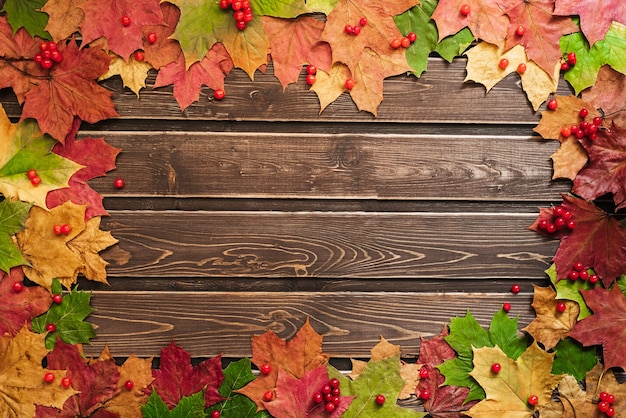 Autumn background with colored leaves on wooden board