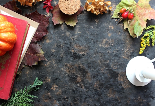 Autumn background with colored red leaves on black slate background Top view copy space