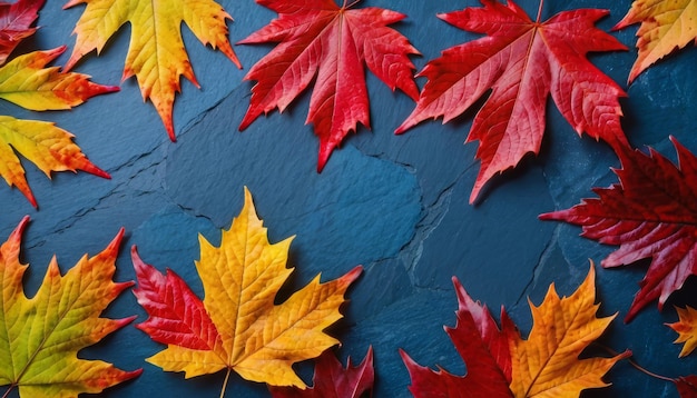 Autumn background with colored red leaves on blue slate background