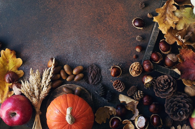 Autumn background with decorative pumpkin acorns apples nuts and autumn leaves on dark stone table harvest still life composition thanksgiving background space for text