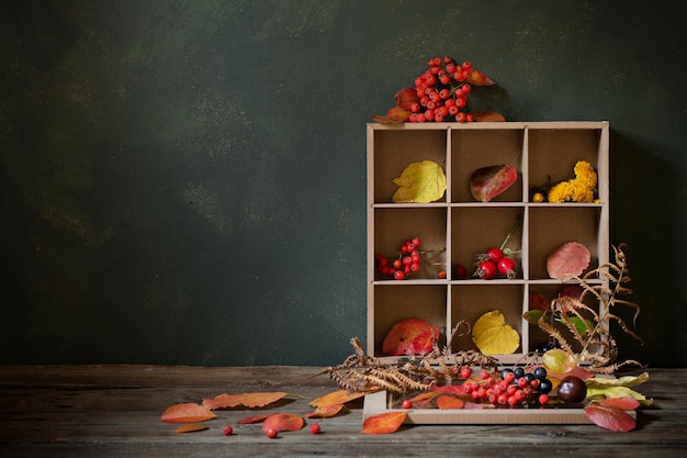 Autumn background with leaves and berries