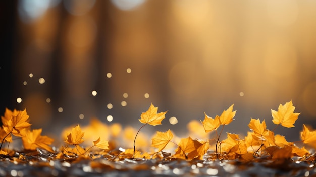 Autumn background with leaves copy space