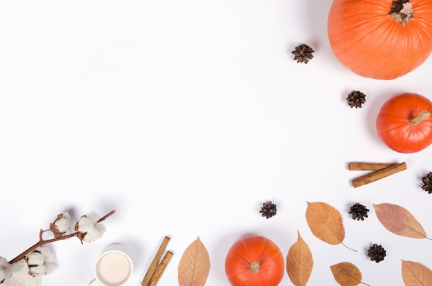 Autumn background with pumpkin, cinnamon and leaves on white background