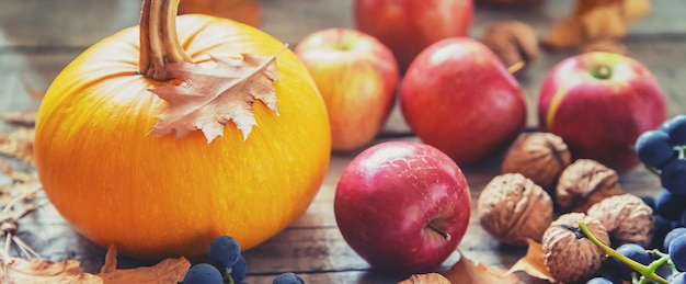 Autumn background with pumpkin