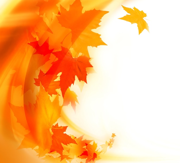 Autumn background with red and yellow maple leaves