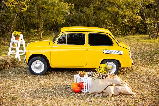 Autumn background yellow retro car in autumn park background with flowers and pumpkins