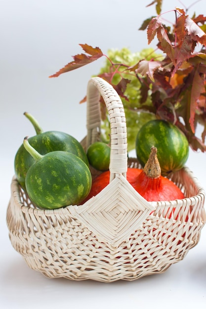 Autumn basket with pumpkin and small watermelons Autumn harvest