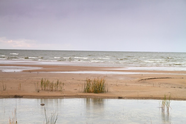 Autumn beach of the Baltic Sea