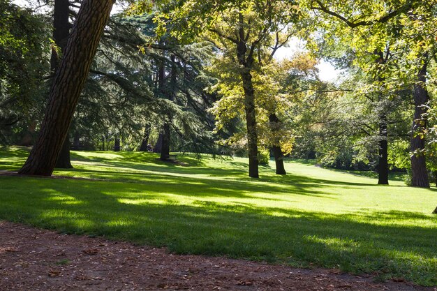 autumn, beautiful park with leafy trees