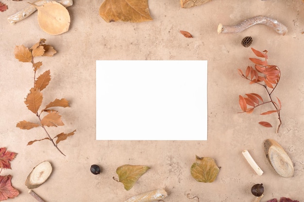 Autumn blank card mockup for thanksgiving day on natural beige background