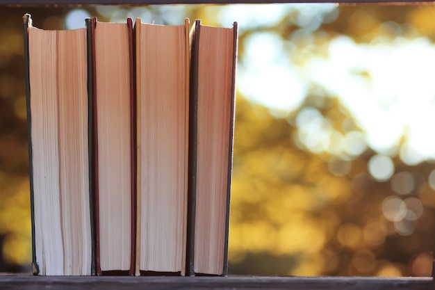 Autumn book stack wooden outdoor