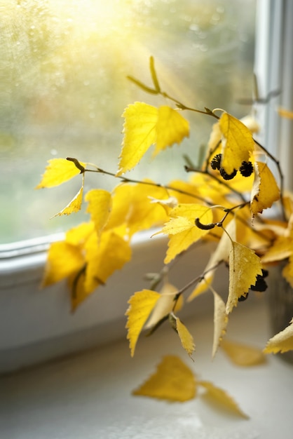 Autumn bouquet of birch branches with yellow leaves