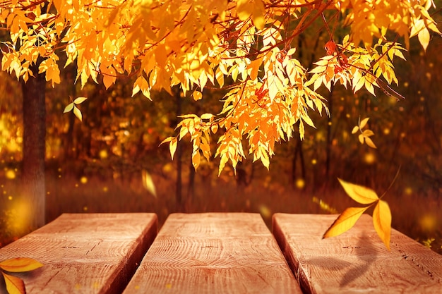 Autumn bright background The surface of the wooden table on a background of yellow leaves in the autumn forest Free space for design