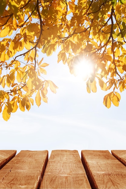 Autumn bright sunny background The surface of the wooden table on a background of yellow leaves in the autumn forest with sunlight Free space for text and design