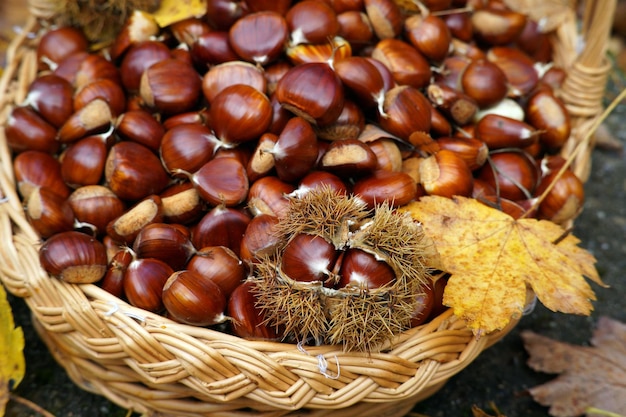 Autumn in Calabria Italy