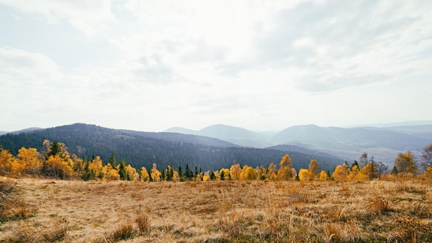 Autumn Carpathian mountains road