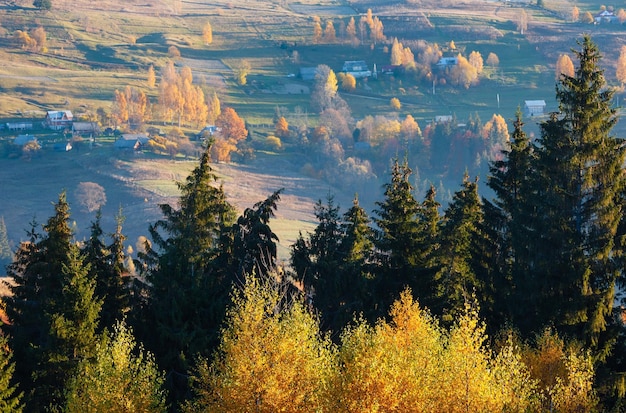 Autumn Carpathian village Ukraine