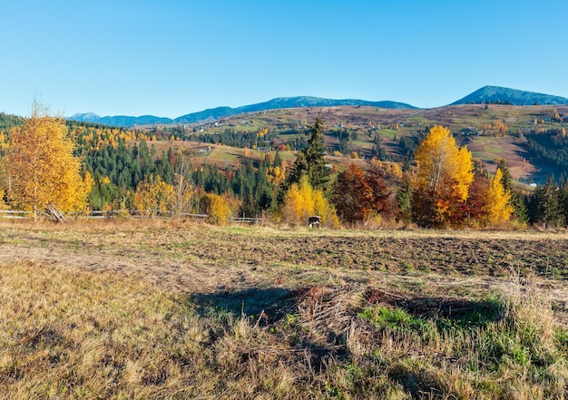 Autumn Carpathian village Ukraine