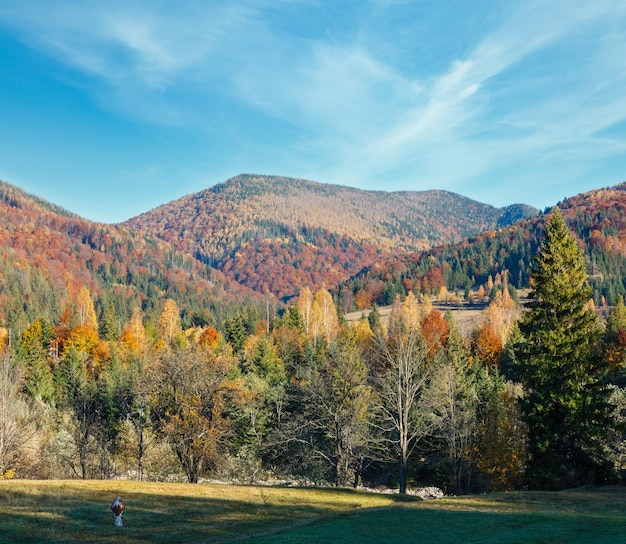 Autumn Carpathians Ukraine