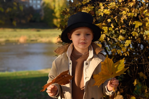 Autumn child portrait in fall yellow leaves little kid boy play with maple leaf in autumnal park out