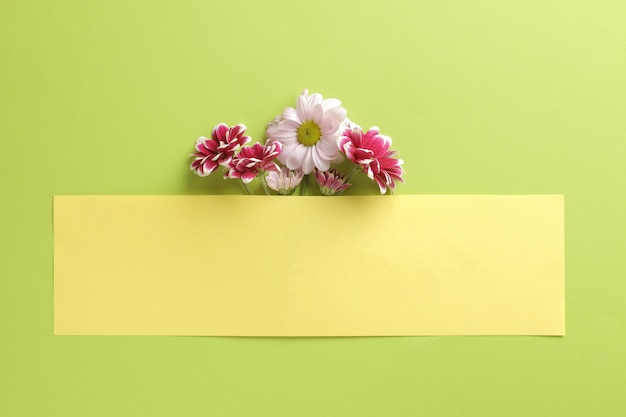 Autumn chrysanthemum flowers and a yellow blank for an inscription on a trendy green