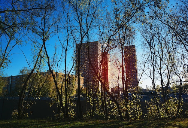 Autumn city sunset landscape backdrop