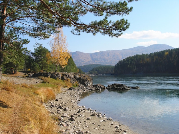 AUTUMN COAST ALTAI MOUNTAIN