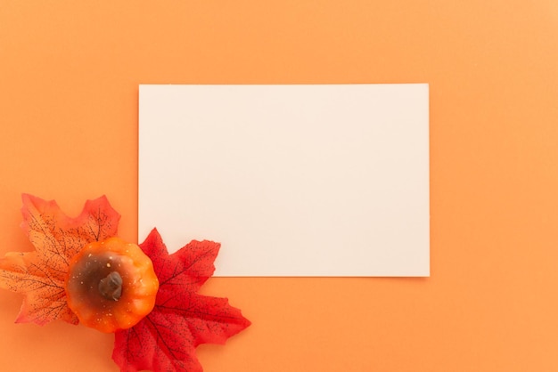 autumn collage on orange background with free space for your text autumn template invitation banner