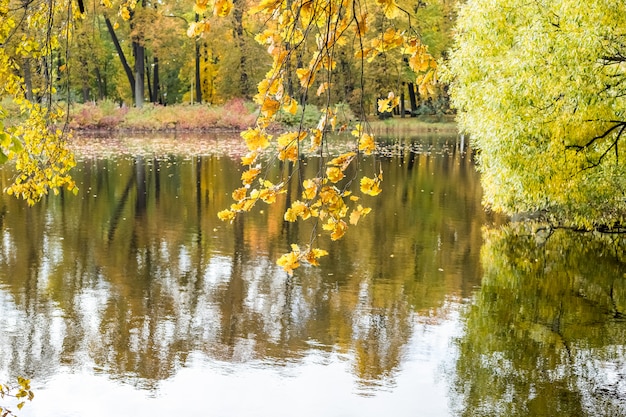 Autumn colorful foliage over lake with beautiful woods