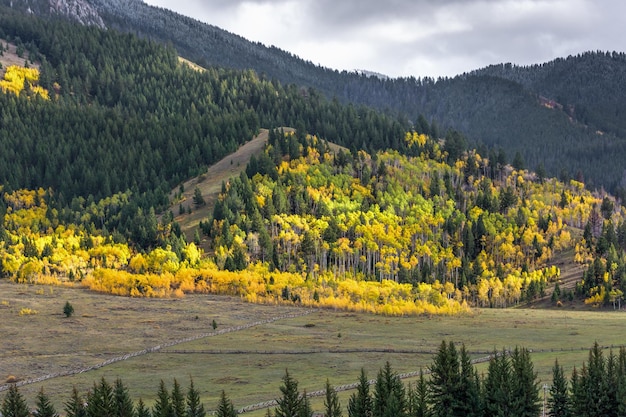 Autumn Colours in Wyoming