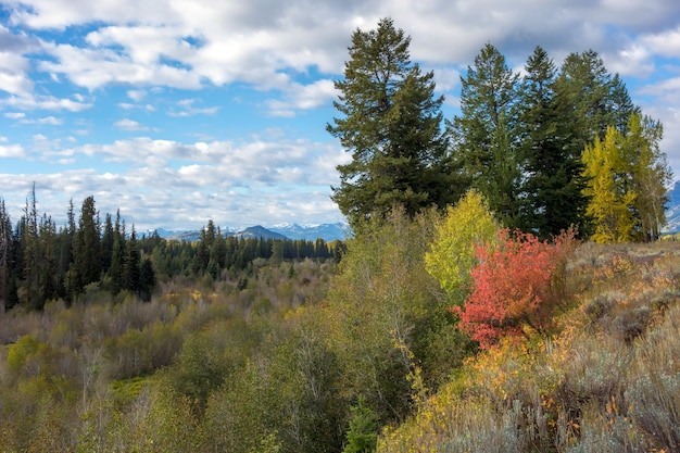 Autumn Colours in Wyoming