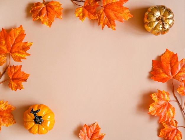 Autumn composition.  Autumn, fall concept. Flat lay, top view