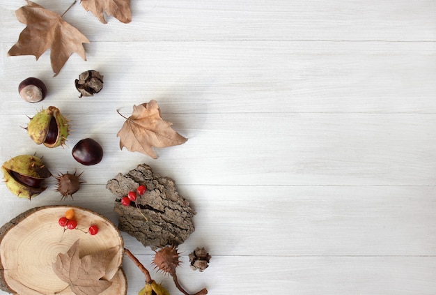 Autumn composition autumn layout on a light wooden background chestnuts yellow dry leaves