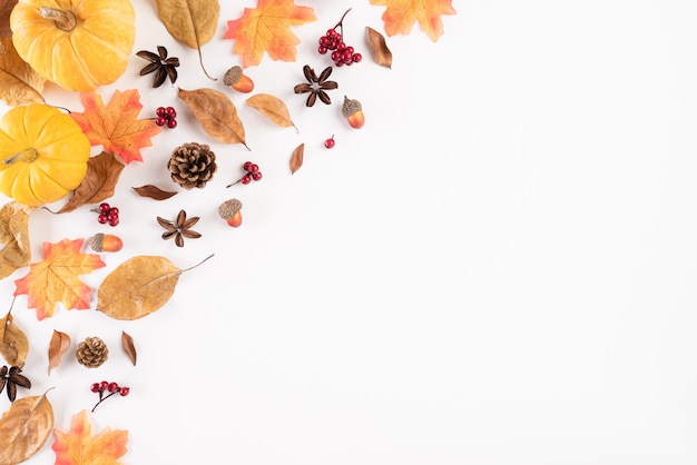 Autumn composition. autumn leaves on white. Flat lay.