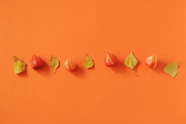 Autumn composition. Bright autumn leaves herbarium on orange paper