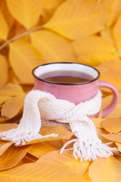 Autumn composition cup of tea wrapped in a scarf Seasonal morning tea 