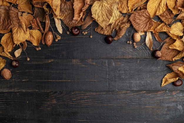 Autumn composition on a dark wooden table Top view Space for text