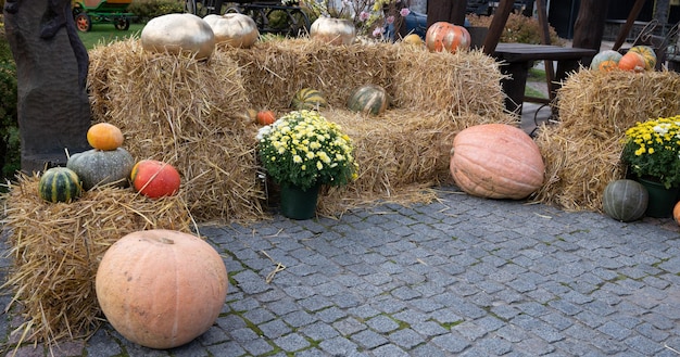 Autumn composition of different pumpkins and straw bales. Thanksgiving and Halloween celebration. Photozone concept.