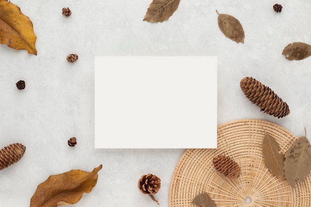 Autumn composition, dried leaves. cotton flowers and pine cones on white background. Flat lay, top view with copy space